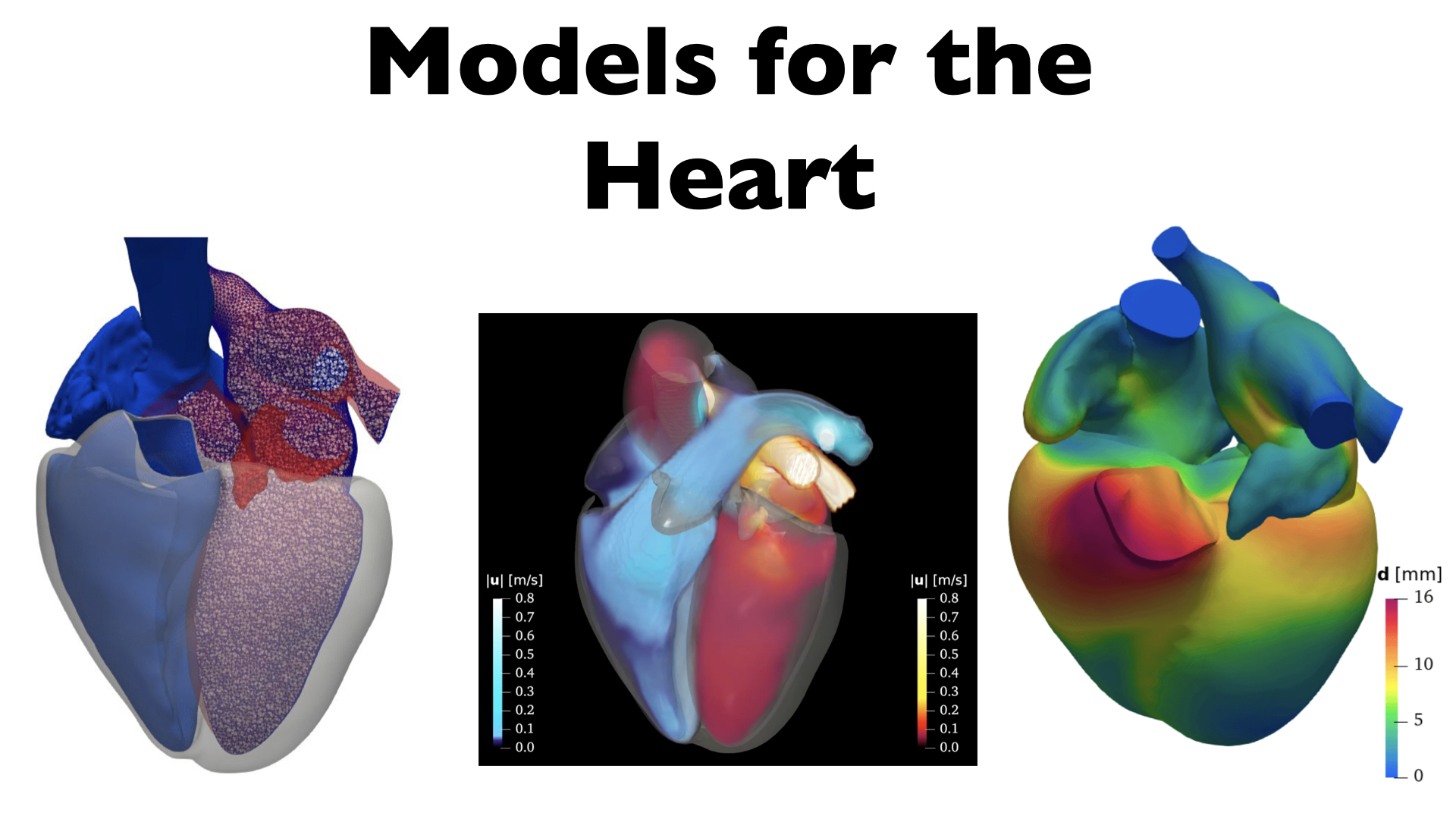 Computational Medicine for the Cardiocirculatory System