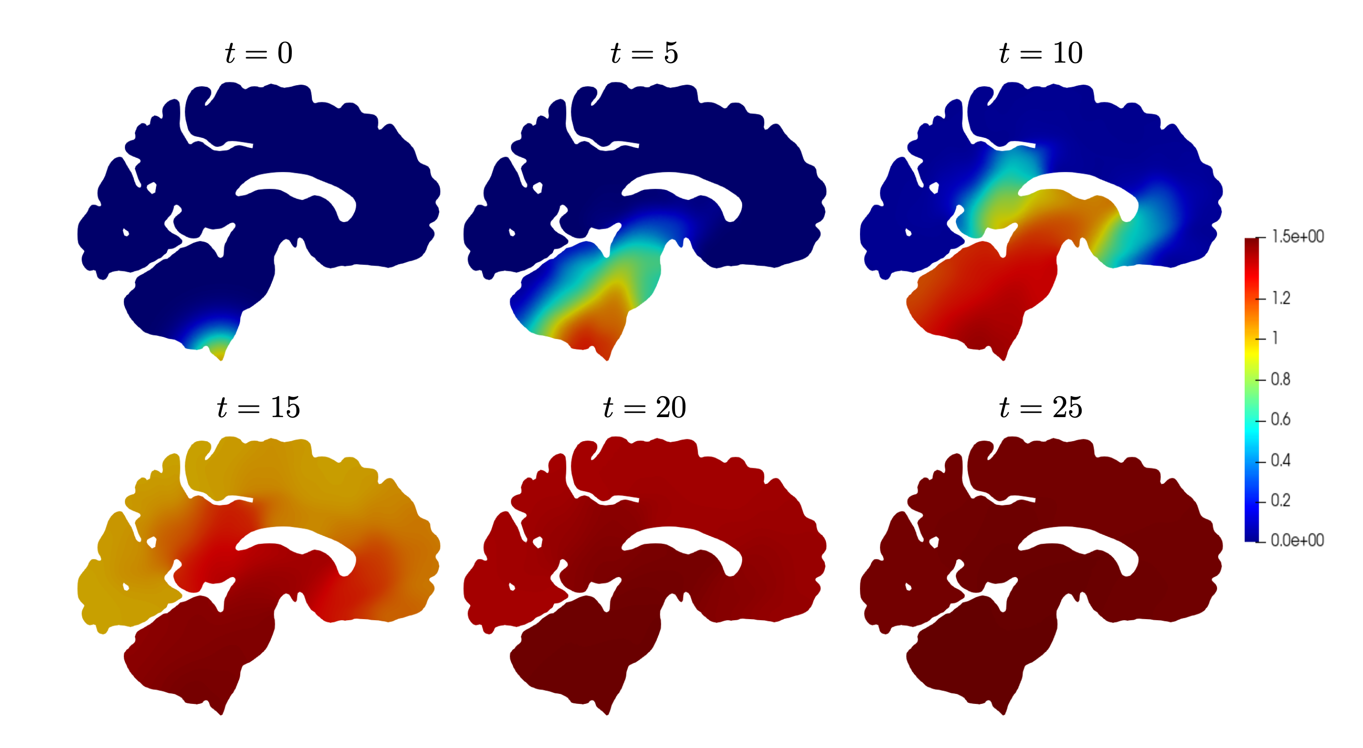 Discontinuous Galerkin methods for the Heterodimer model of prion dynamics in neurodegenerative diseases, Agnese Dall’Olio, 2023. Advisor: Prof. Paola F. Antonietti, Co-Advisor: F. Bonizzoni, M. Corti