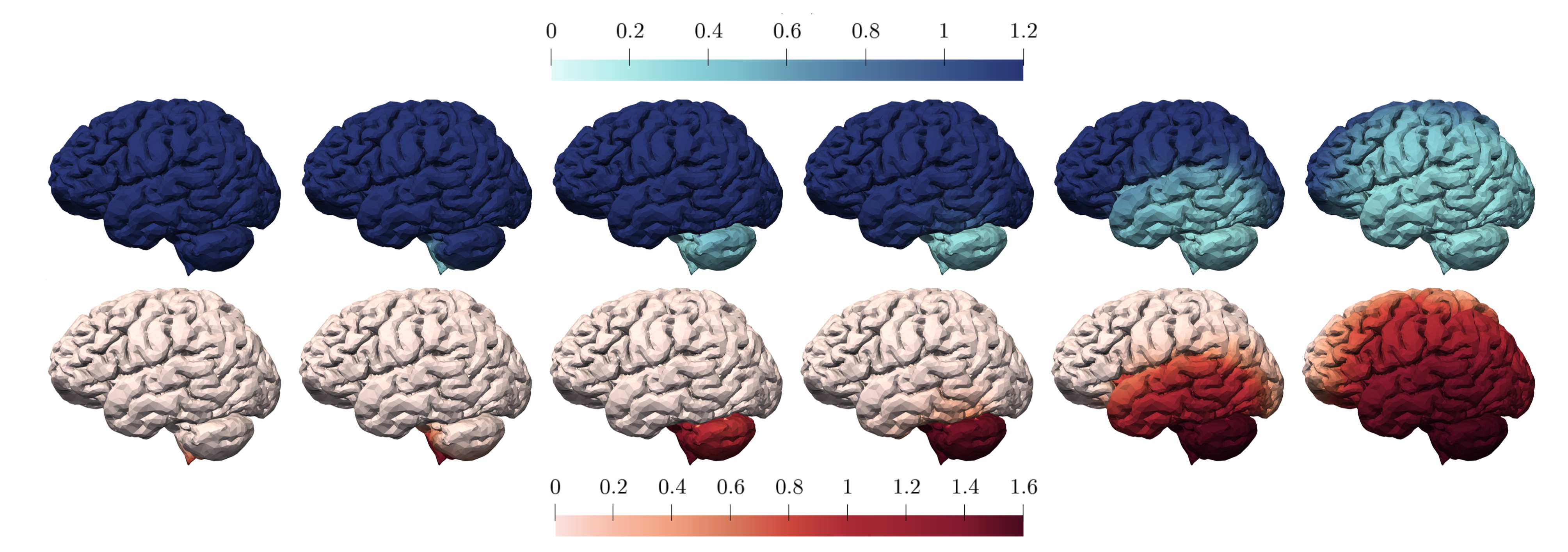 Modeling neurodegenerative disorders: a discontinuous Galerkin approach for the heterodimer model of prions dynamics, Giacomo Lorenzon, 2023. Advisor: P.F. Antonietti, Co-Advisor: M. Corti