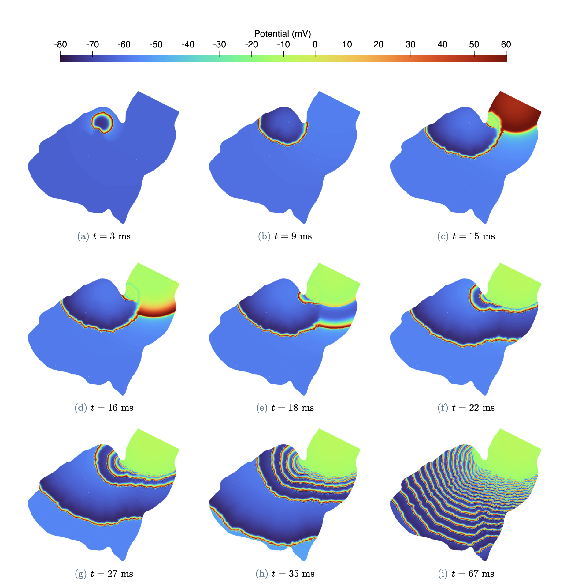 A one-way coupled mathematical model of Alzheimer’s disease and epilepsy: A multi-scale analysis of neuronal activity, Andrea Mancini, 2025. Advisor: Prof. Paola F. Antonietti, Co-Advisor: Dr. Stefano Pagani, Mattia Corti, Caterina B. Leimer Saglio