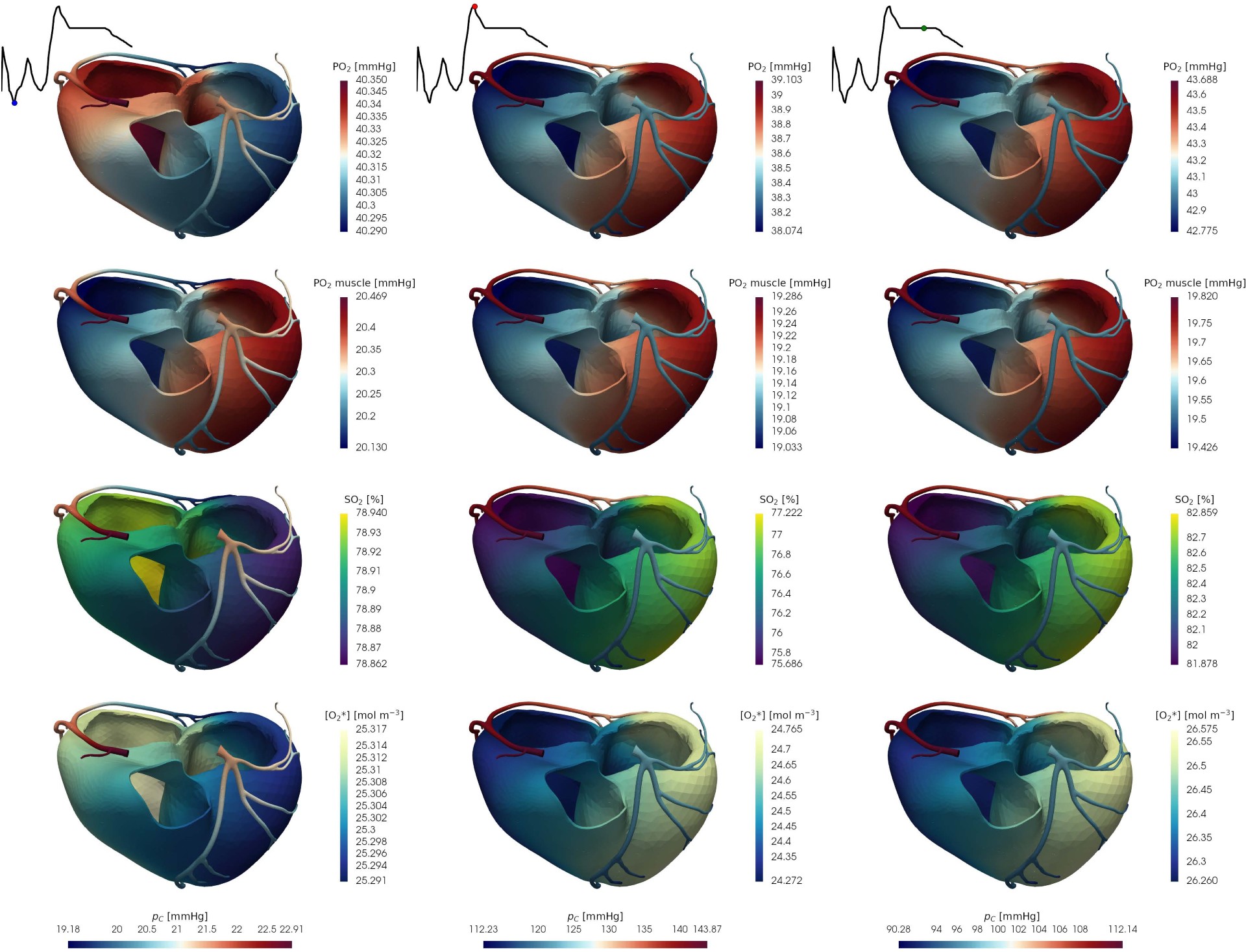 A multi-physics oxygenation model: from biological derivation to the numerical simulation of real-life scenarios, Manfred Nesti, 2022. Advisor: Francesco Regazzoni, Co-Advisors: Pasquale C. Africa, Ivan Fumagalli